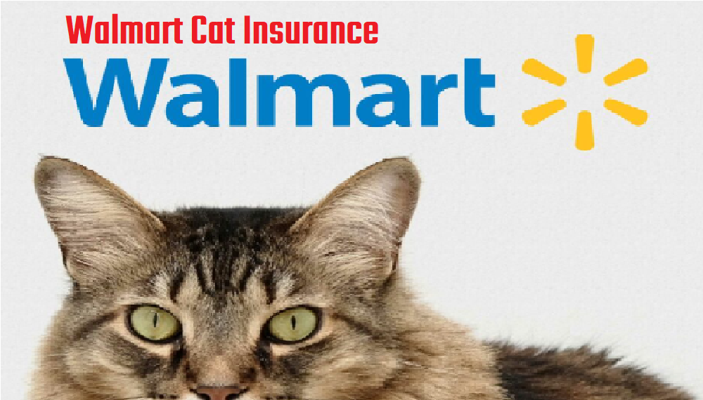 Walmart Cat Insurance |   Walmart Pet Care |  Walmart Pet